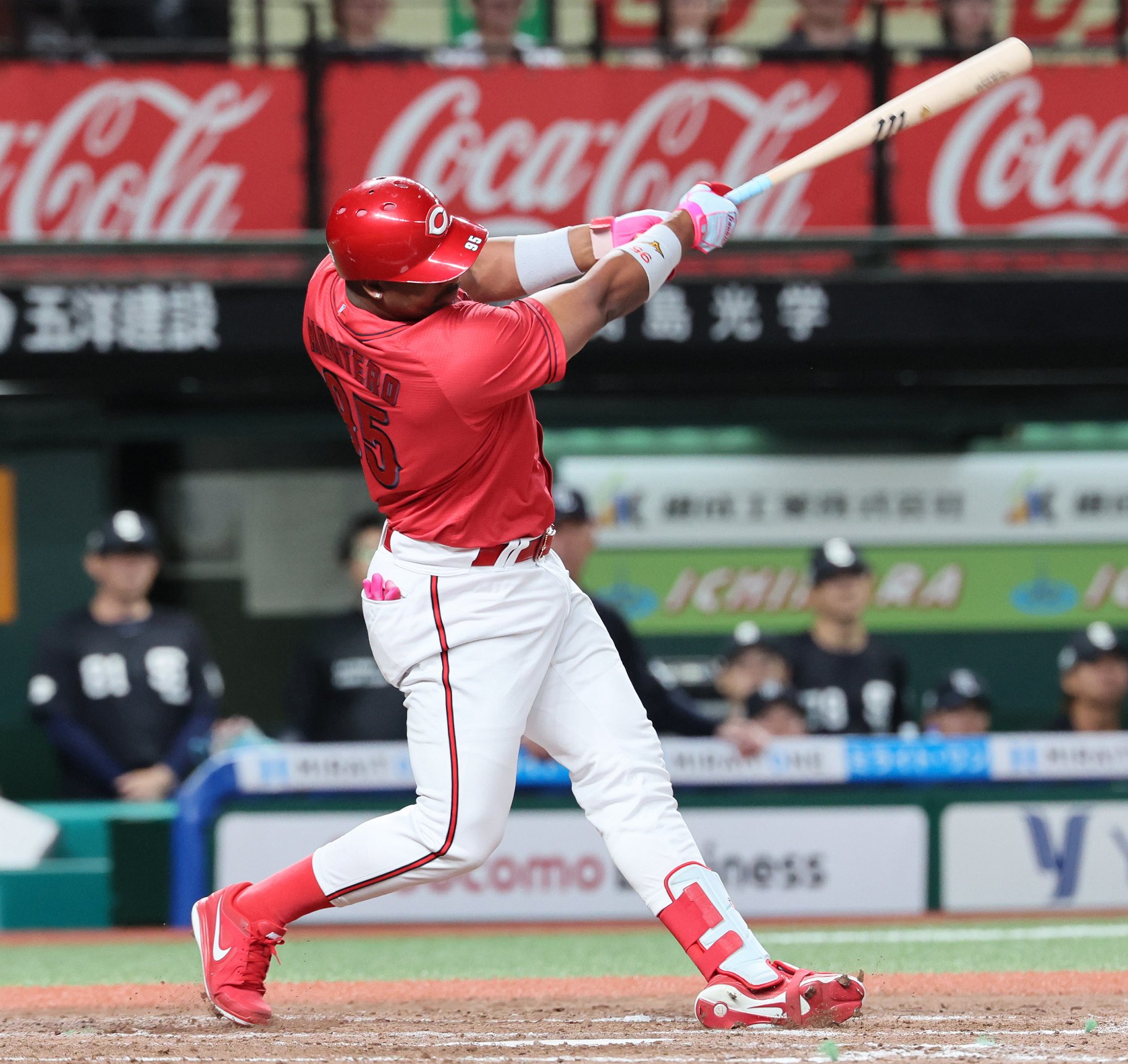 CARP ONLINE STORE