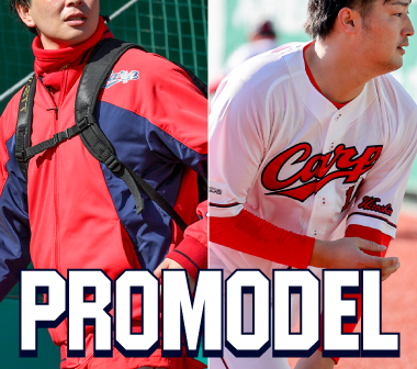 プロモデル